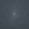 NGC2541 やまねこ座 渦巻銀河