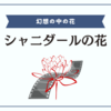 全てはシャニダールの花の夢だったのかもしれない