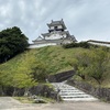 掛川城に登ってきました