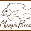 Mangia Pesce　イタリア関心空間KW復刻