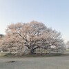 天平の丘公園　後編