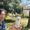 2025年4月13日🐾 今日のマヤ暦