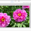 写真にテキストと境界線を装飾する方法【Photoshop Elements】