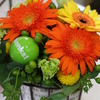 DAILY  FLOWERS !!