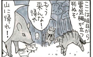 夜廻り猫【第一一〇五話】里芋泥棒4