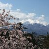 食物アレルギー対応の宿（東北編）