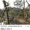 【長福寺城(岩倉山)】は岩と藪の中に？、の巻