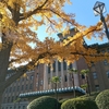 初冬の横浜散歩❤みなとみらい～横浜公園まで