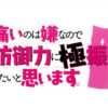 アニメ　『痛いのは嫌なので防御力に極振りしたいと思います。』　第1話　あらすじ・感想・ネタバレ