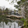 2020/03/31 洗足池散歩 06 池月橋/洗足八幡神社/桜(洗足池公園内）/桜山/洗足池弁財天/八つ橋/妙福寺