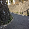 釈迦坂（文京区）