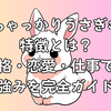 ちゃっかりうさぎの特徴とは？性格・恋愛・仕事での強みを完全ガイド