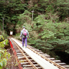 旅の写真から　～その１８　屋久島登山～