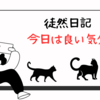 今日は良い気分
