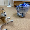 除菌ウェットティッシュとかの在庫がたくさん
