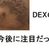 DEXについて考えた