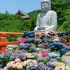 【感謝】 夏越の祓えと下半期へ 応援スポンサー活動記録