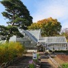 薬用植物園（東京都小平市）