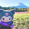 ゴールデンウィークのクロミちゃん