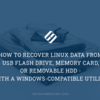 How to Recover Data from a USB Flash Drive, Memory Card, Removable HDD in Linux With a Windows-Compatible Utility