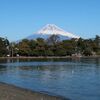 【犬連れ初詣 ドライブ】【大瀬神社】【達磨山(982m)】富士山の素晴らしい眺め　沼津 伊豆 静岡