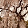 ３月３０日