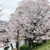 雨の月曜日٩( 'ω' )و