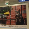 岩合光昭の世界ネコ歩き写真展を見て来た～