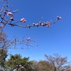 次から次へと