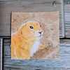 水彩画732枚目｢コソッとプレーリードッグさん｣