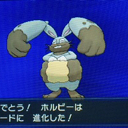 ポケモンxyに挑戦其の9 スバメをゲットできるか 輝きの洞窟まで あきののんびりゲームブログ