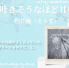 WEB小説紹介№069　「砂糖を吐きそうなほど甘い言葉」徳井優（そうま）さん