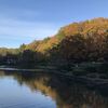 久々に台原森林公園