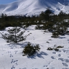 浅間山の雄姿