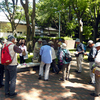 2016年6月2日　大宮公園・6 月のみどころ