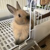 4回目のお迎え記念日