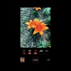 Leicaのカメラのような写真が撮れるiPhone向けアプリ「Leica LUX」。