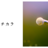 演説のチカラ