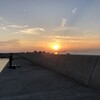  青岸