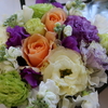 DAILY FLOWERS