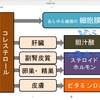 ビタミンDが、免疫力を上げる理由。。