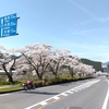 鳥取花見ツーリング