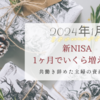 新NISA、1ヶ月でいくら増えた？【2024年１月】