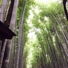 嵐山竹林から天竜寺～京都駅はクリスマス☆彡