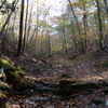 愛知県三河地方の紅葉≪#10≫ エピローグ　　― 「彩り」と「癒し」―