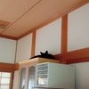 ほんのり農繁期な五月晴れ