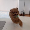 久しぶりの園開放✨あーくんは忘れっぽい？！🤣
