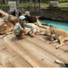 〈ゆぅら〉動物たちとのふれあい体験