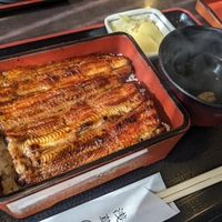 【夜会】鈴木亮平のうな重「うなぎ魚政」東京で一番うまいうなぎのお店【8月7日】