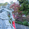 🍁【階段紅葉】🍁仁王がイカしてるぜ！伊賀西蓮寺